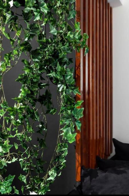 Novel Acropolis Apartment Атина Екстериор снимка