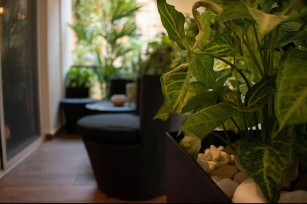 Novel Acropolis Apartment Атина Екстериор снимка